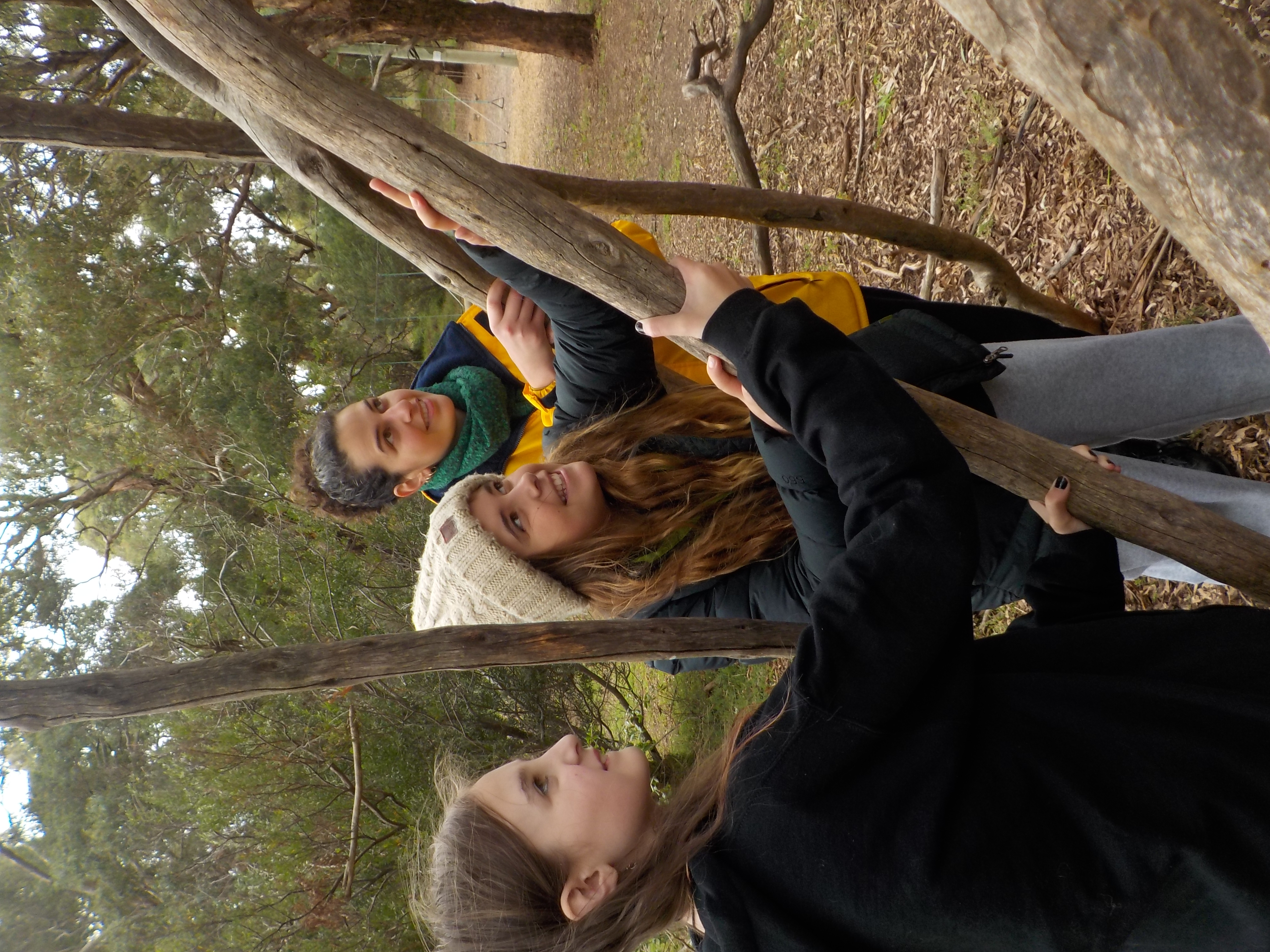 Three girls grabbing branches to create a hut.